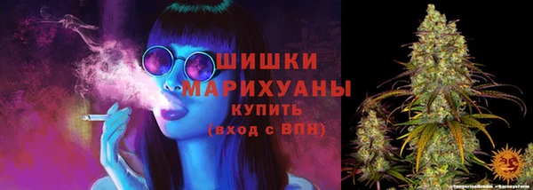 твердый Алзамай