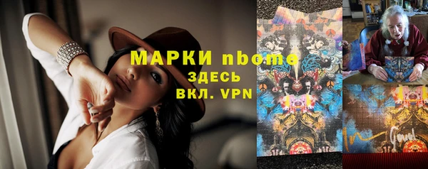 Альфа ПВП Аркадак