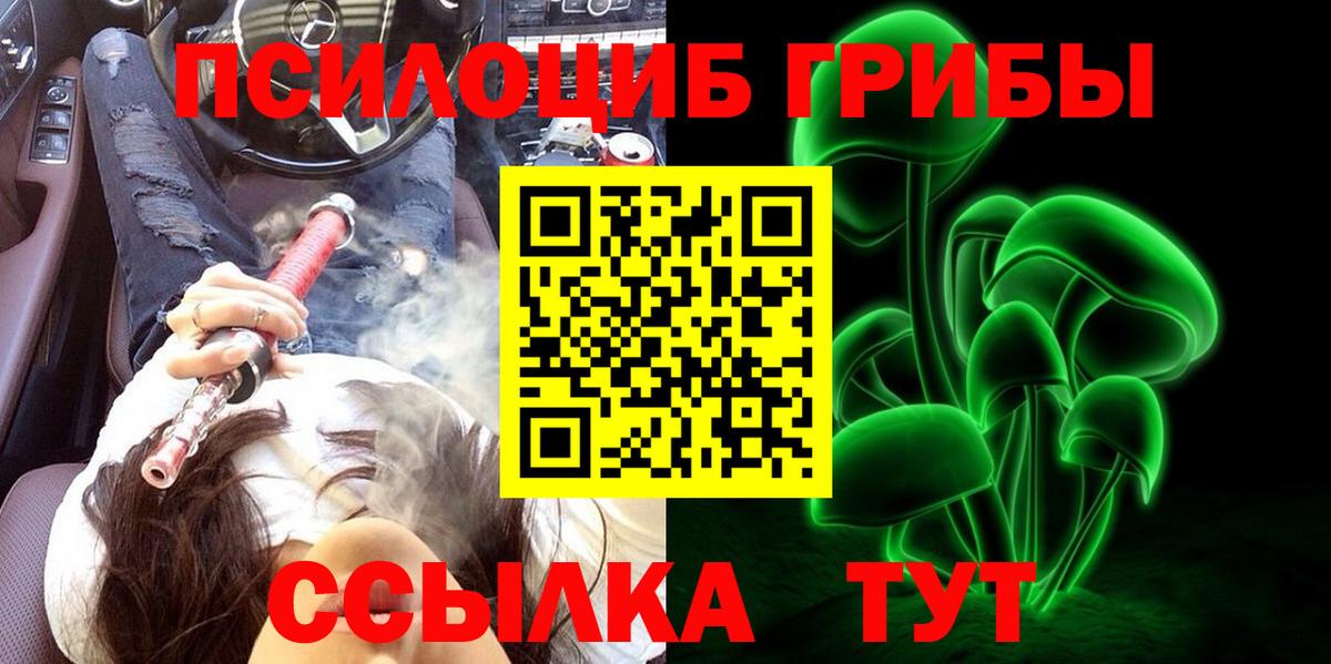 Галлюциногенные грибы Psilocybe Белорецк