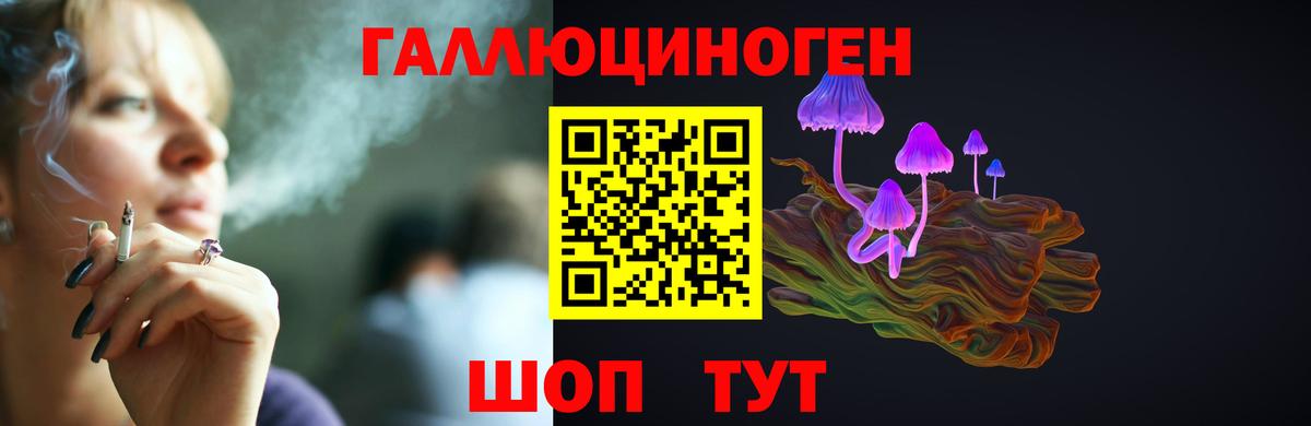 Галлюциногенные грибы Cubensis  Вход с VPN  Белорецк 
